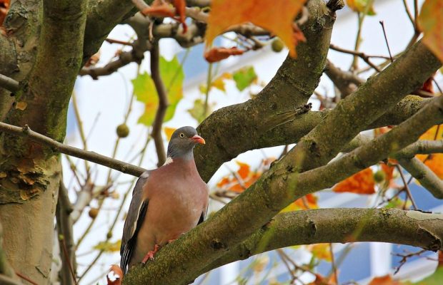 23 ноября 2021 - какой сегодня праздник, приметы и именинники, что сегодня нельзя делать