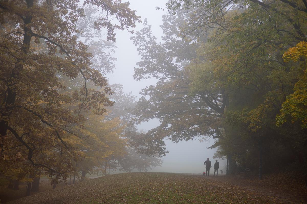 Сьогодні в Україні очікуються тумани / фото REUTERS Сьогодні в Україні очікуються тумани / фото REUTERS