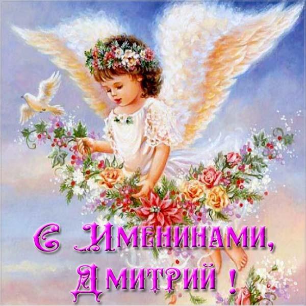 З днем ангела Дмитра / фото bipbap.ru