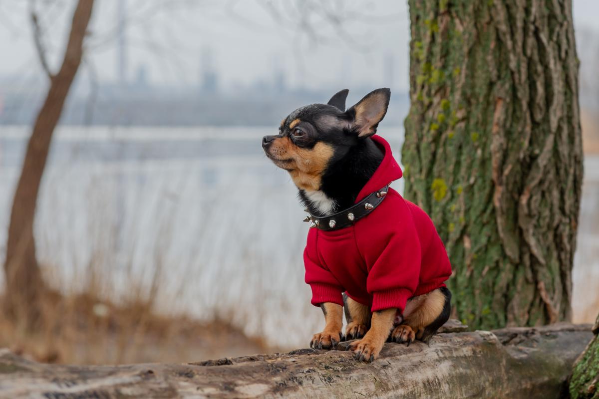 Погода на неделю / фото ua.depositphotos.com Погода на неделю / фото ua.depositphotos.com