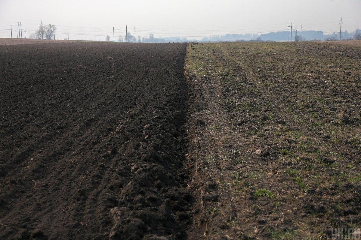 Украинские аграрии уже столкнулись с подорожанием удобрений / фото УНИАН, Виктор Ковальчук