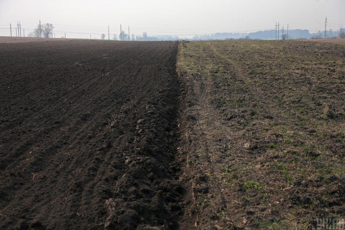 В Украине заключили уже около 68 тысяч сделок купли-продажи земли / фото УНИАН, Виктор Ковальчук В Украине заключили уже около 68 тысяч сделок купли-продажи земли / фото УНИАН, Виктор Ковальчук