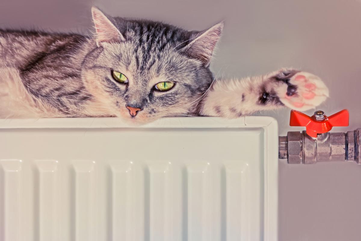 В Україні сильно похолодає днями / фото ua.depositphotos.com