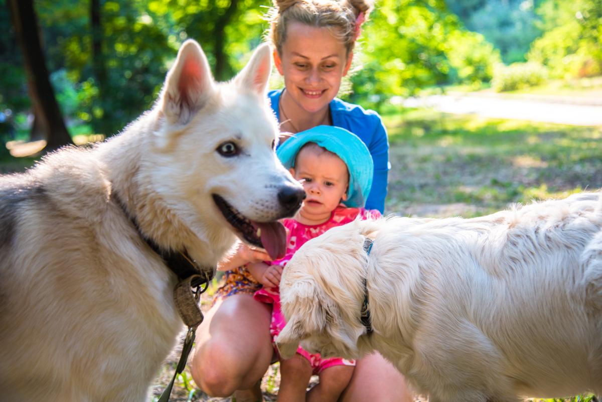 Що робити, якщо вас покусала тварина / фото ua.depositphotos.com Що робити, якщо вас покусала тварина / фото ua.depositphotos.com