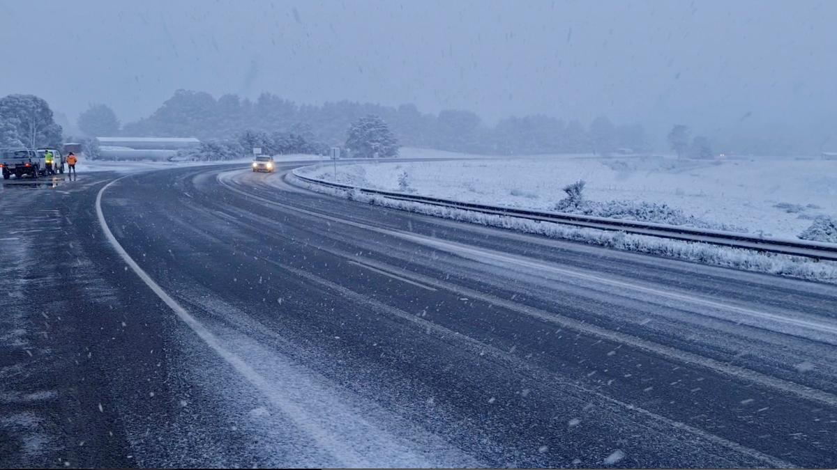 За две недели до лета Тасманию занесло снегом / фото REUTERS