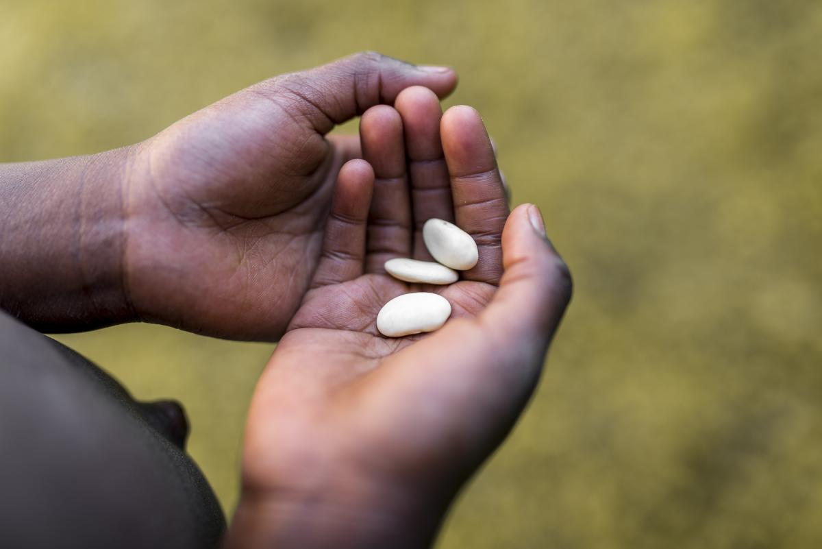 Миру угрожает голод / фото ua.depositphotos.com Миру угрожает голод / фото ua.depositphotos.com