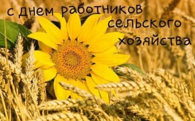 День работника сельского хозяйства 2021 / bipbap.ru