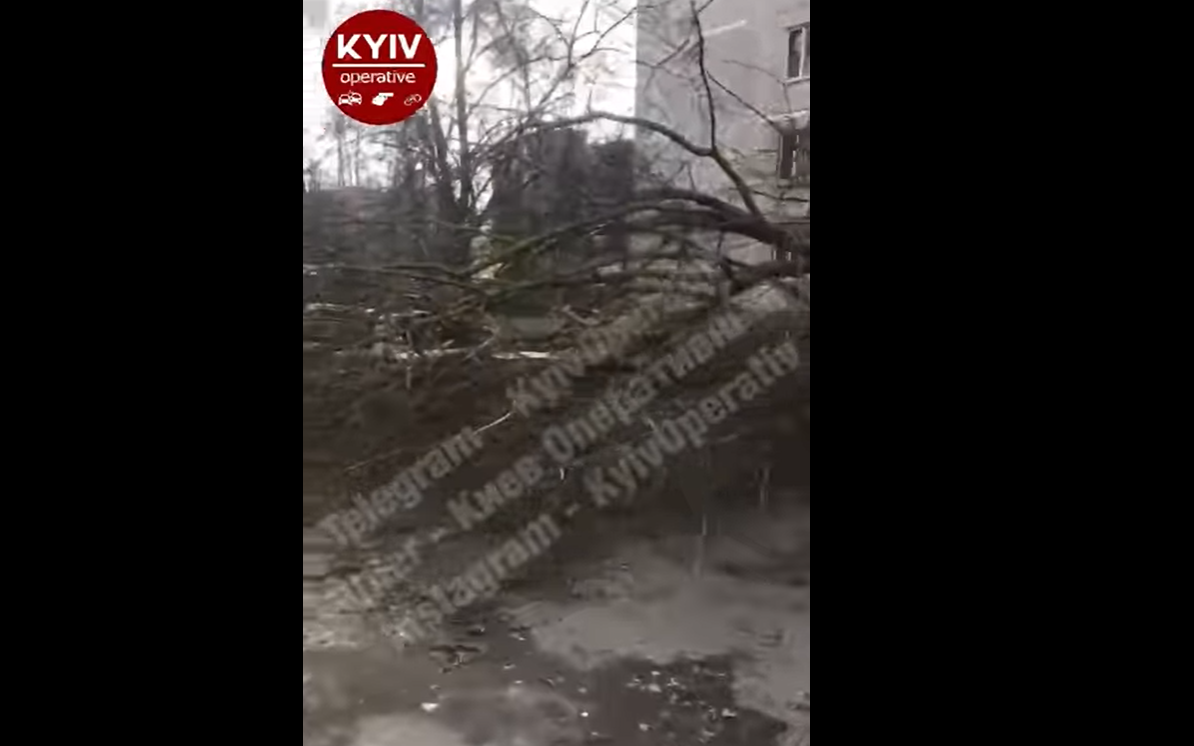 В Киеве от ветра падают деревья \ Киев Оперативный