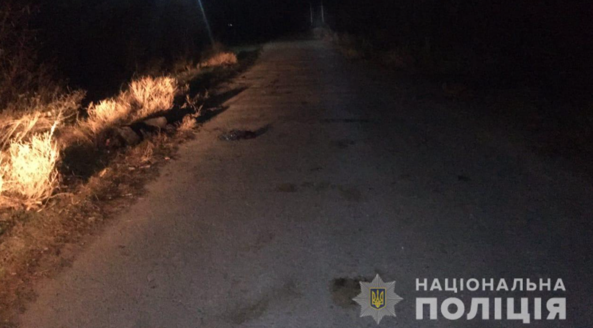 В селе Бриновка грузовик сбил человека / фото Нацполиция В селе Бриновка грузовик сбил человека / фото Нацполиция