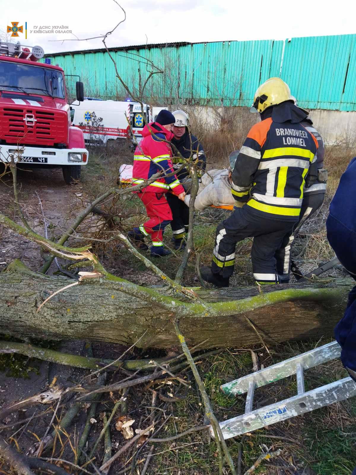 Чоловік зламав ногу на дереві / фото kv.dsns.gov.ua Чоловік зламав ногу на дереві / фото kv.dsns.gov.ua