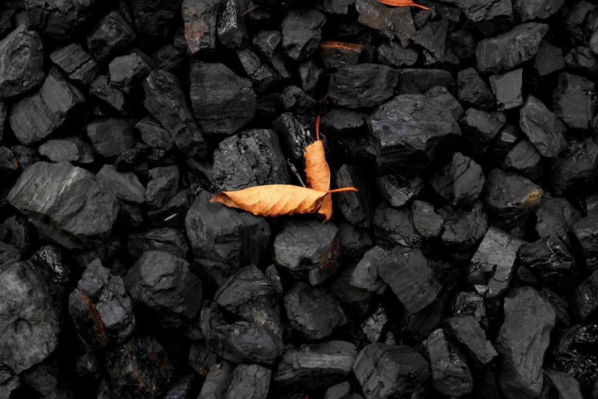 ДТЭК в разгар отопительного сезона увеличил добычу угля на 21% / фото REUTERS