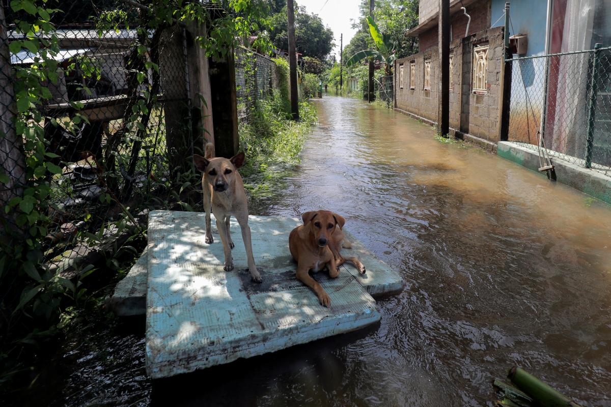 У 19 районах Шрі-Ланки була оголошена Червона тривога / фото REUTERS У 19 районах Шрі-Ланки була оголошена Червона тривога / фото REUTERS