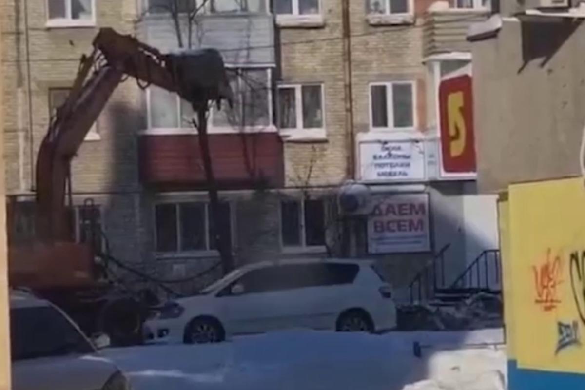В Комсомольске-на-Амуре дерево подрезали ковшом экскаватора / скриншот