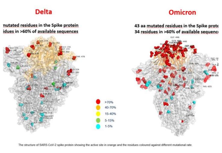 Порівняння штамів коронавірусу "Дельта" й "Омікрон" / фото roma.corriere.it