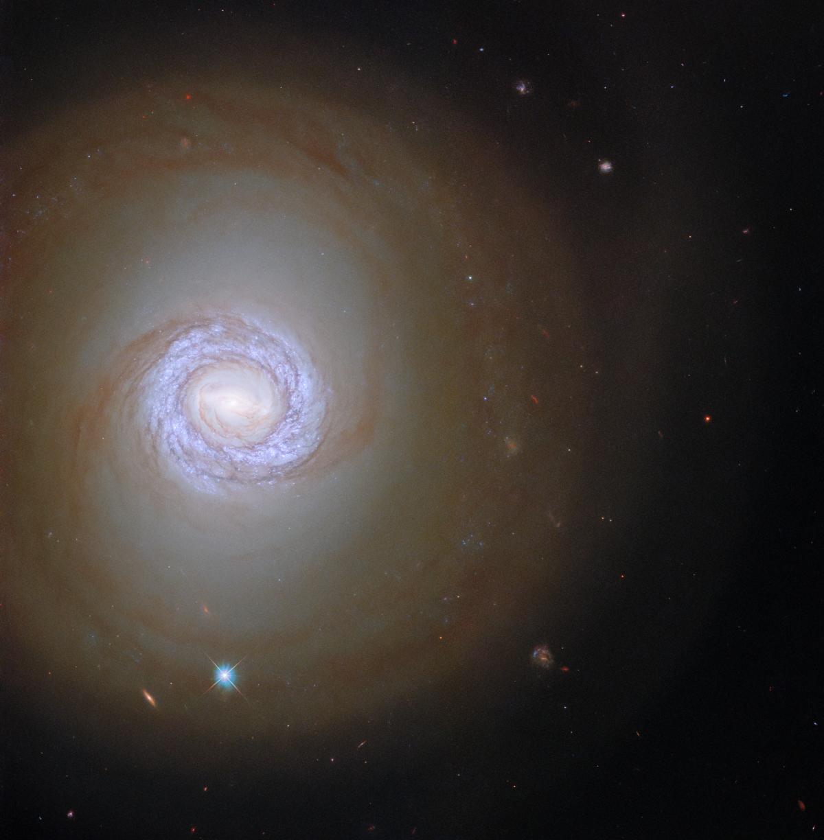 Галактика NGC 1317