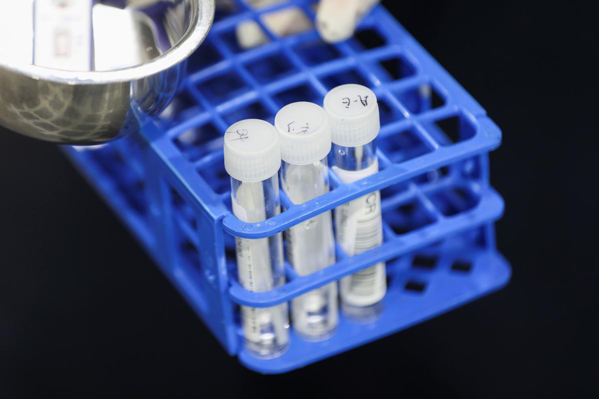 ПЛР-тести виявляють новий штам коронавірусу / фото REUTERS
