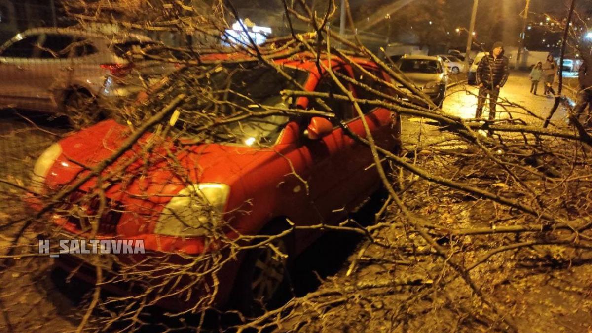 У Харкові через вітер пошкоджено кілька автомобілів / фото Telegram-канал "ХС / Харків" У Харкові через вітер пошкоджено кілька автомобілів / фото Telegram-канал "ХС / Харків"