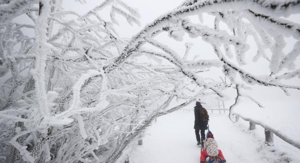 予報士は降雪、雨、強風に警告