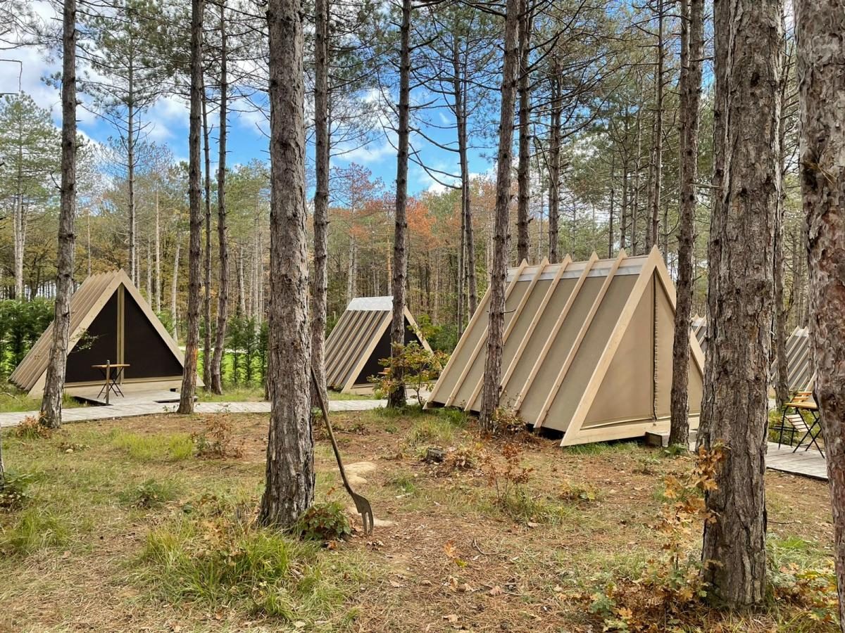 Фото Гламурный палаточный лагерь 25 ноября 2021