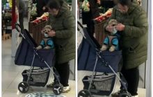 Натянула маску на собаку в коляске: заботливая женщина "спасла" пса от коронавируса в супермаркете Киева (видео)
