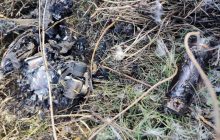 Появились фото российского беспилотника, сбитого украинскими военными