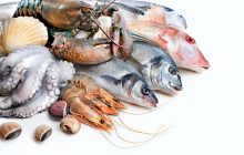 Украина стала больше завозить агропродукции: какие продукты импортировали больше всего