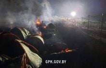 У сутичках з нелегалами постраждали 7 польських копів: одному проломили голову