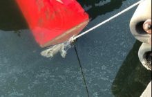 В Николаеве литры подсолнечного масла оказались в море: что произошло