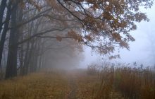 Украину разделят мокрый снег и дожди, а затем ворвется потепление - синоптик