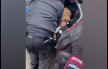 Перешла дорогу в неположенном месте: в Питере полицейские жестко задержали школьницу (видео)