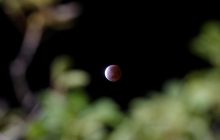 Гороскоп на 28 ноября 2021: что сегодня ждет все знаки Зодиака