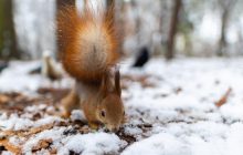 3 грудня 2021 - яке сьогодні свято, прикмети та іменинники, що сьогодні не можна робити