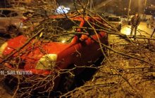 Поваленные деревья и разбитые автомобили: ураган в Харькове наделал бед (фото, видео)