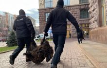 В Киеве митингующие привезли под мэрию перепуганных овец в маршрутке: их изъяли правоохранители (видео)