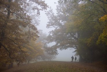 Синоптики объявили в Украине желтый уровень опасности