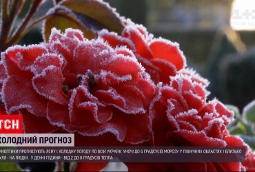 Гору Піп Іван замітає снігом