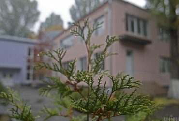 На Киевщине воспитательница и директор частного детсада подрались на глазах у детей (видео)