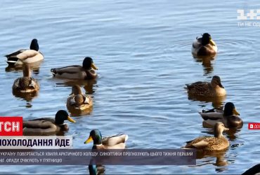 До України повертається хвиля арктичного холоду – очікується навіть перший сніг