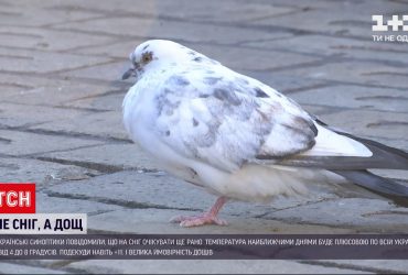 Погода в Україні: найближчим часом синоптики обіцяють відсутність снігу