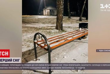 Щонайменше у чотирьох областях випав перший сніг