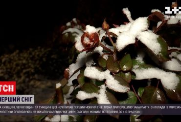 Найбільше снігу насипало у Сумській області