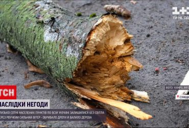 Наслідки негоди: близько сотні населених пунктів по всій країні лишилися без світла