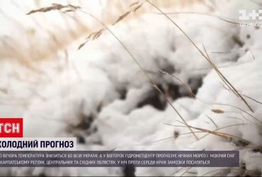 Погода в Україні: вже завтра температура повітря знизиться по всій території