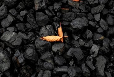 Археологи виявили найдавніший доказ постійного використання вугілля людьми