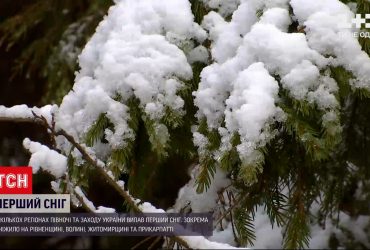 Декілька регіонів побачили перший сніг