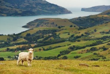 Нова Зеландія спрощує отримання віз для цифрових кочівників