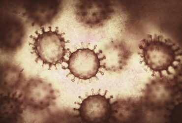 Вчені дістали з Маріанської западини найбільш глибоководний вірус