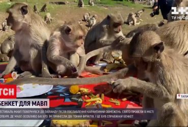 Фестиваль обезьян вернулся в Таиланд