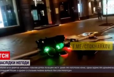 Сильний вітер звалив дерева і світлофор разом зі стовпом