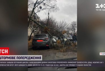 Негода в Україні: чи постраждав хтось через потужний вітер